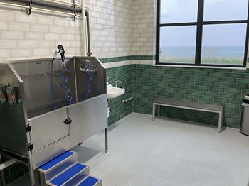 Dog wash